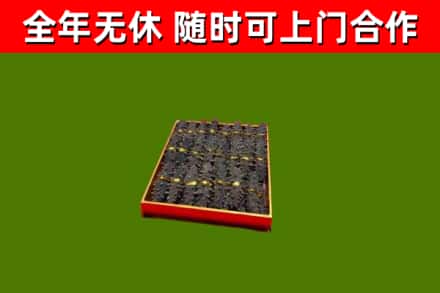 项城市回收海参